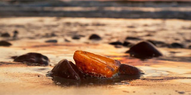 Ambers on the wet sand of the beach at sunset.